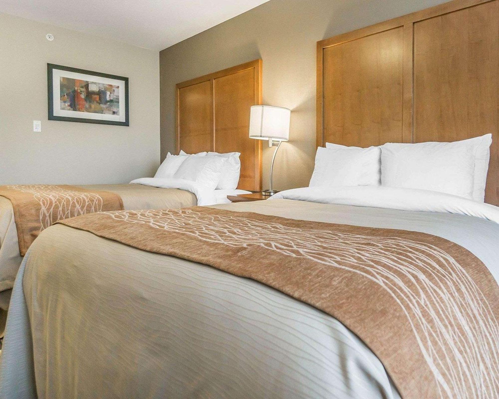 Comfort Inn & Suites Edmonton International Airport Nisku Buitenkant foto